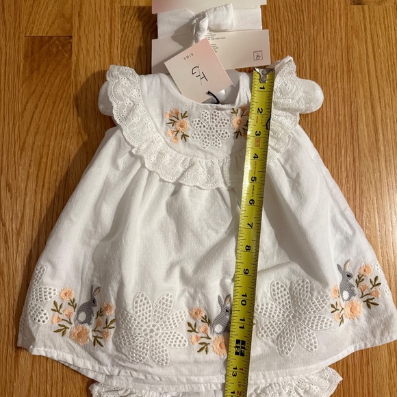 Happily Grey Baby Girl Easter Bunny Dress With Matching Shoes & Diaper Cover - Picture 12 of 13